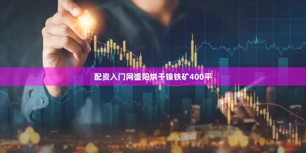配资入门网盛阳烘干镍铁矿400平