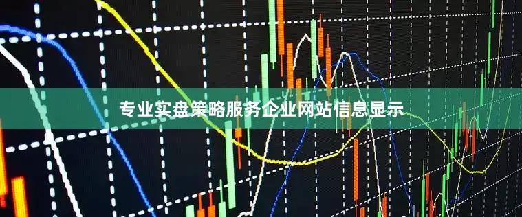 专业实盘策略服务　　企业网站信息显示