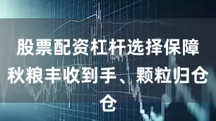 股票配资杠杆选择保障秋粮丰收到手、颗粒归仓